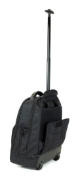 Picture of Targus TSB700EU laptop case 39.6 cm (15.6") Backpack Black