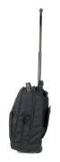 Picture of Targus TSB700EU laptop case 39.6 cm (15.6") Backpack Black