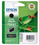 Picture of Epson Singlepack Photo Black T0541 Ultra Chrome Hi-Gloss