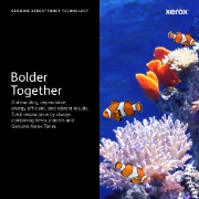 Picture of Xerox Waste Toner Catridge (20000 pages)