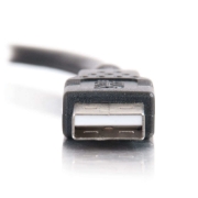 Picture of C2G 2m USB 2.0 A Cable M USB cable USB A Black