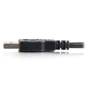 Picture of C2G 2m USB 2.0 A Cable M USB cable USB A Black
