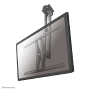 Picture of Neomounts PLASMA-C100 Monitor/TV mount ceiling 37-75" - h 67-107 cm