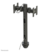 Picture of Neomounts FPMA-D050DBLACK Monitor arm 10-30"