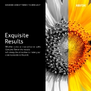 Picture of Xerox Genuine Phaser™ 6600, WorkCentre™ 6605 Yellow Standard capacity Toner Cartridge (2000 Pages) - 106R02247
