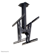 Picture of Neomounts PLASMA-C100D Dual monitor/TV mount ceiling 37-75" - h 67-107 cm