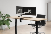 Picture of Neomounts FPMA-D1330DSILVER Monitor arm 10-27"