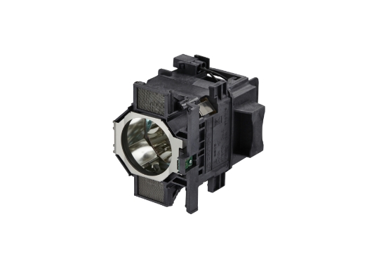 Picture of Epson Lamp (x2) - ELPLP82