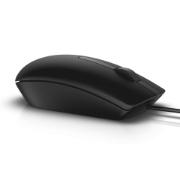 Picture of DELL MS116 mouse Office Ambidextrous USB Type-A Optical 1000 DPI