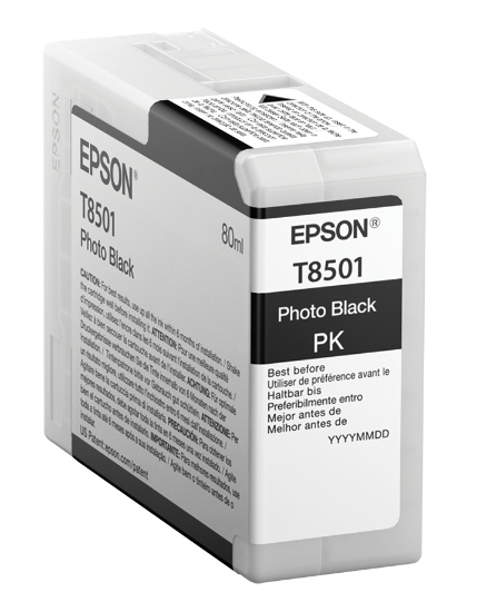 Picture of Epson Singlepack Photo Black T850100