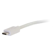 Picture of C2G USB C to DisplayPort Adapter Converter - USB Type C to DisplayPort White