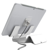 Picture of Compulocks Universal Tablet Holder White with Coiled Cable Lock Black