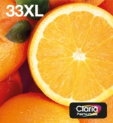 Picture of Epson Oranges Multipack 5-colours 33XL Claria Premium Ink EasyMail