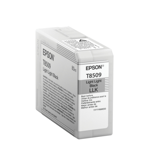 Picture of Epson Singlepack Light Light Black T850900
