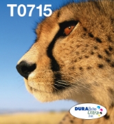 Picture of Epson Multipack 4-colours T071 EasyMail