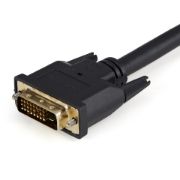 Picture of StarTech.com 30cm (1 ft) DVI-D to 2x DVI-D Digital Video Splitter Cable - M/F~1 ft DVI-D to 2x DVI-D Digital Video Splitter Cable - M/F