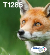 Picture of Epson Fox Multipack 4-colours T128 EasyMail