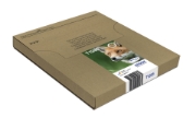 Picture of Epson Fox Multipack 4-colours T128 EasyMail