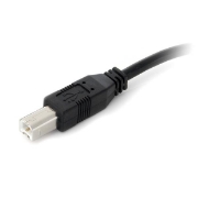 Picture of StarTech.com 9 m (30 ft.) Active USB 2.0 A to B Cable