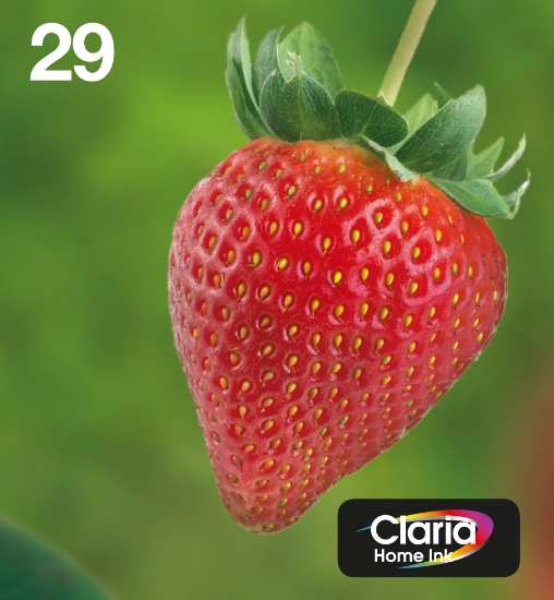 Picture of Epson Strawberry Multipack 4-colours 29 EasyMail
