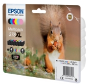 Picture of Epson Squirrel Multipack 6-colours 378XL Claria Photo HD Ink