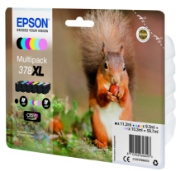 Picture of Epson Squirrel Multipack 6-colours 378XL Claria Photo HD Ink