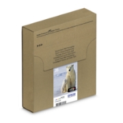 Picture of Epson Polar bear Multipack 4-colours 26 EasyMail