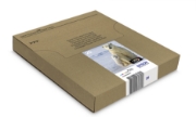 Picture of Epson Polar bear Multipack 4-colours 26 EasyMail