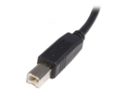 Picture of StarTech.com 0.5m USB 2.0 A to B Cable - M/M
