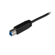 Picture of StarTech.com USB-C to USB-B Printer Cable - M/M - 1 m (3 ft.) - USB 3.1 (10Gbps)