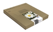 Picture of Epson Daisy Multipack 4-colours 18 EasyMail