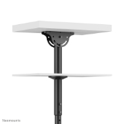 Picture of Neomounts NM-C440DBLACK Dual monitor/TV mount ceiling 32-60" - h 56-91 cm