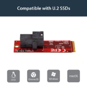 Picture of StarTech.com U.2 (SFF-8643) to M.2 PCI Express 3.0 x4 Host Adapter Card for 2.5” U.2 NVMe SSD