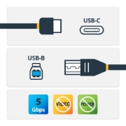 Picture of StarTech.com USB-C to USB-B Cable - M/M - 2 m (6 ft.) - USB 3.0