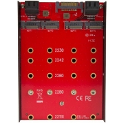 Picture of StarTech.com 4x M.2 SATA mounting adapter for 3.5in drive bay