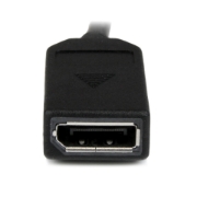 Picture of StarTech.com 8" (20 cm) DMS-59 to Dual DisplayPort Adapter Cable - 4K x 2K Video - LFH DMS 59 pin (M) to 2x DisplayPort 1.2 (F) Splitter Y Cable - LFH Graphics Card to Dual DP Monitors