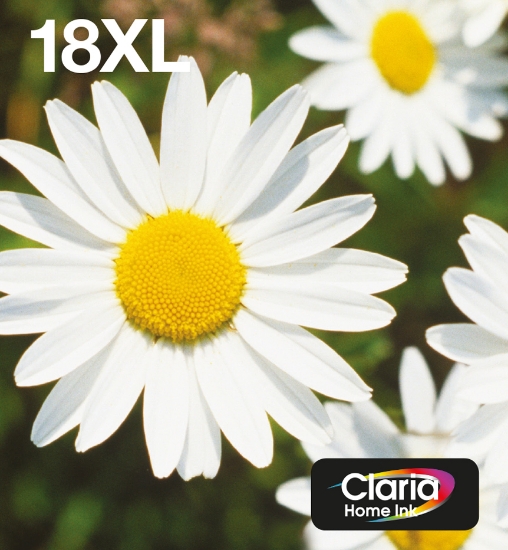Picture of Epson Daisy Multipack 4-colours 18XL EasyMail