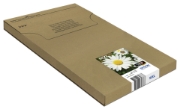 Picture of Epson Daisy Multipack 4-colours 18XL EasyMail