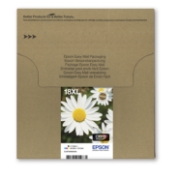 Picture of Epson Daisy Multipack 4-colours 18XL EasyMail