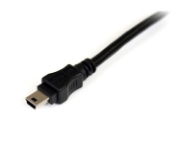Picture of StarTech.com 6 ft USB Y Cable for External Hard Drive - USB A to mini B