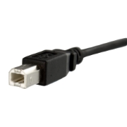 Picture of StarTech.com 1 ft Panel Mount USB Cable B to B - F/M