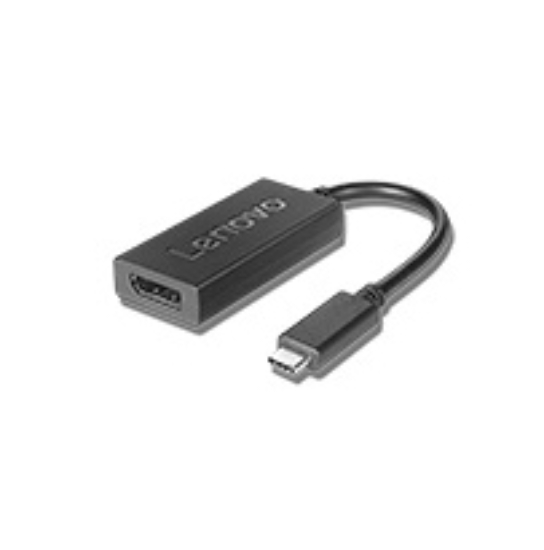 Picture of Lenovo 4X90Q93303 video cable adapter 0.2 m USB Type-C DisplayPort Black
