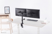 Picture of Neomounts FPMA-D550DBLACK Monitor arm 10-32"