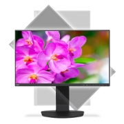 Picture of NEC MultiSync EA241F-BK LED display 61 cm (24") 1920 x 1080 pixels Full HD Black