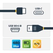 Picture of StarTech.com USB-C to Mini-USB Cable - M/M - 2 m (6 ft.) - USB 2.0