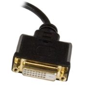 Picture of StarTech.com Micro HDMI to DVI Adapter - Micro HDMI to DVI Converter - Micro HDMI Type-D Device to DVI-D Single Link Monitor/Display/Projector - Durable - Male/Female - 8in (20cm) Cable