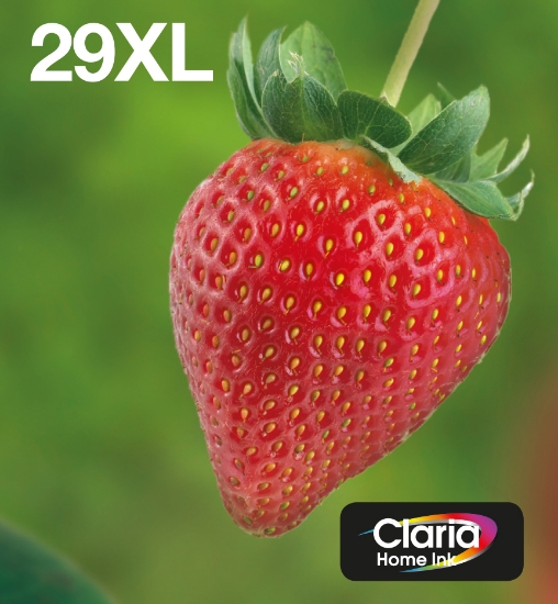 Picture of Epson Strawberry Multipack 4-colours 29XL EasyMail