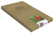 Picture of Epson Strawberry Multipack 4-colours 29XL EasyMail