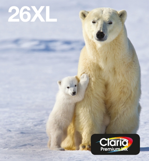 Picture of Epson Polar bear Multipack 4-colours 26XL EasyMail