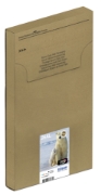 Picture of Epson Polar bear Multipack 4-colours 26XL EasyMail